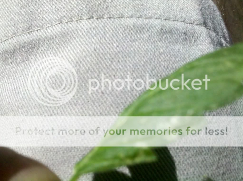 2011-08-27_15-02-32_129.jpg