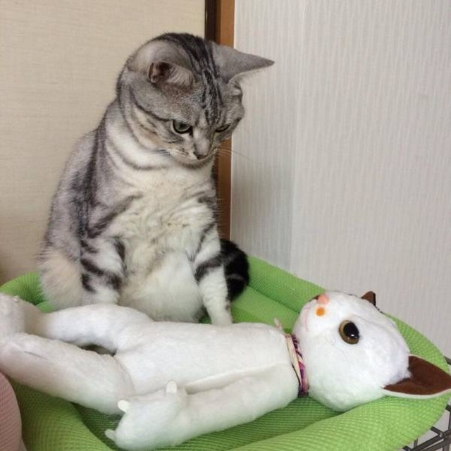 acid_picdump_45.jpg