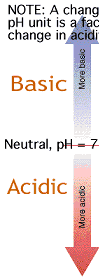 0000-ph-table_r1_c1.gif