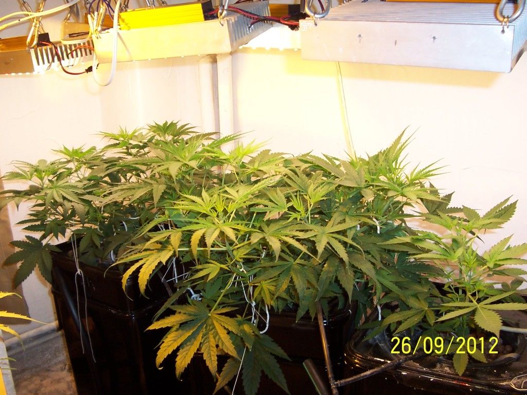100_2687.jpg