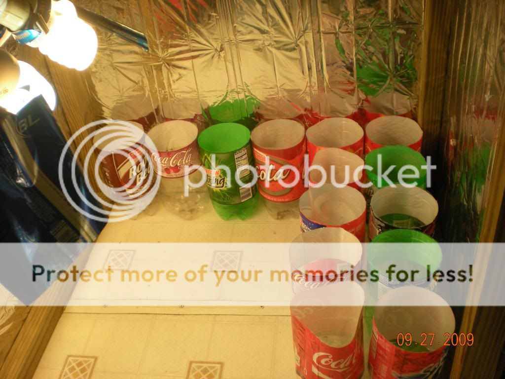 DSCN2066.jpg