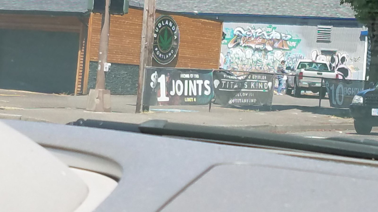 budlandia.jpg