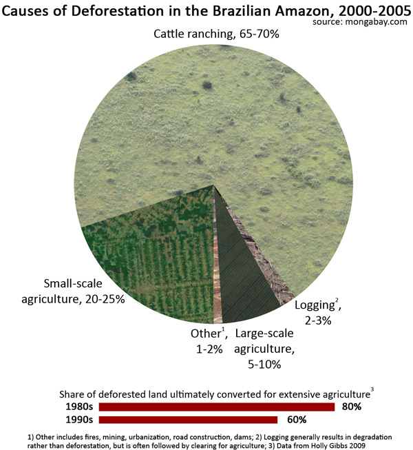 deforestation-in-the-amazon.jpg