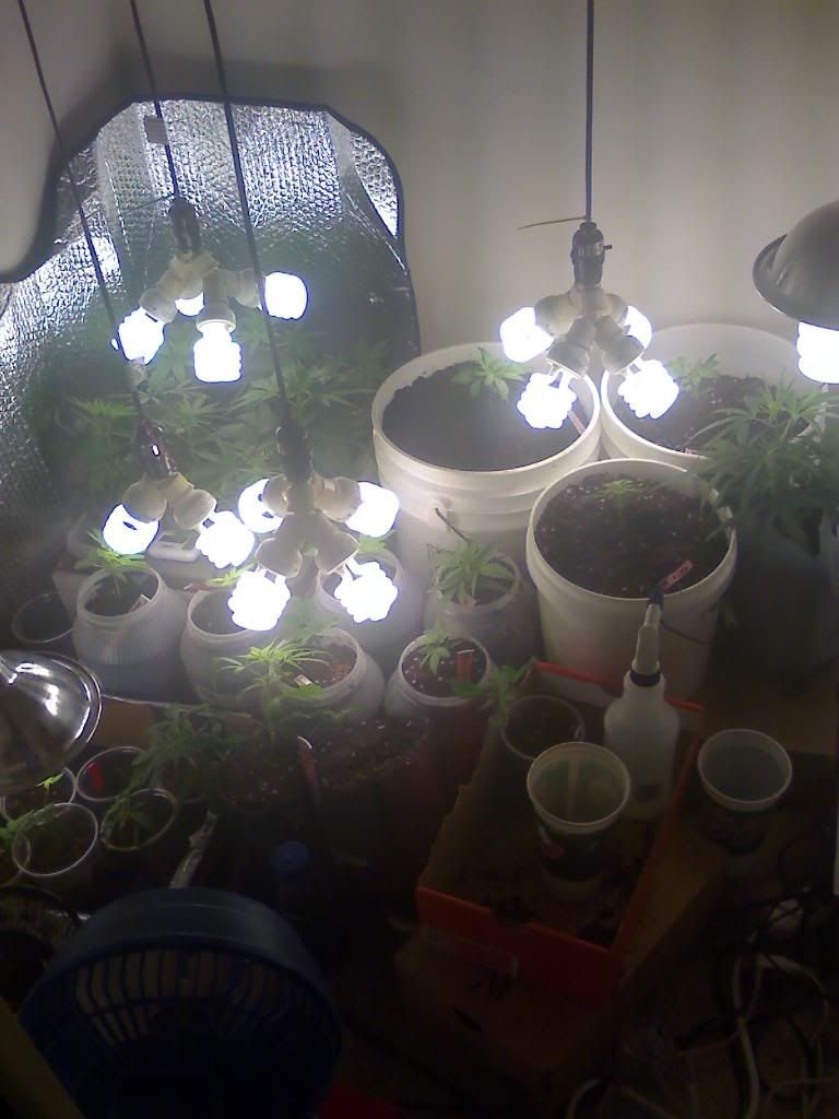05-11-09_0359.jpg