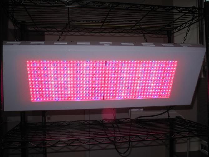 600W.jpg
