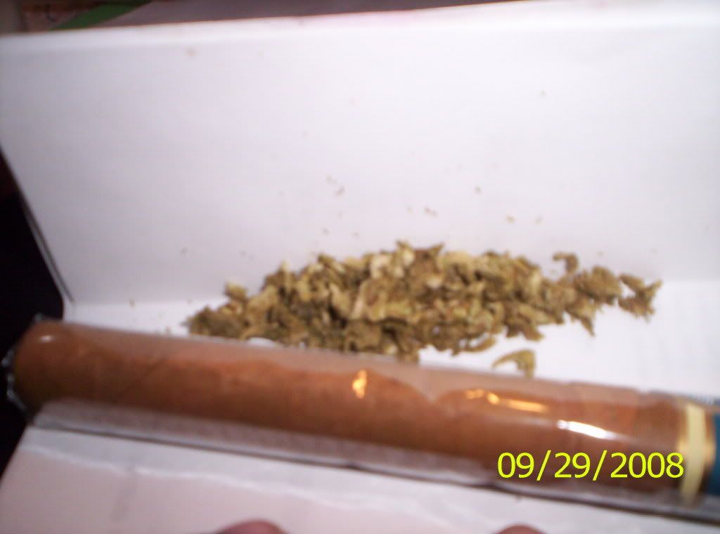 100_1052.jpg