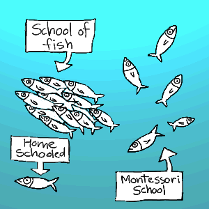 homeschool-fish.gif