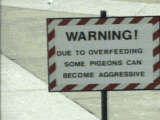 0004bcws3fd.gif