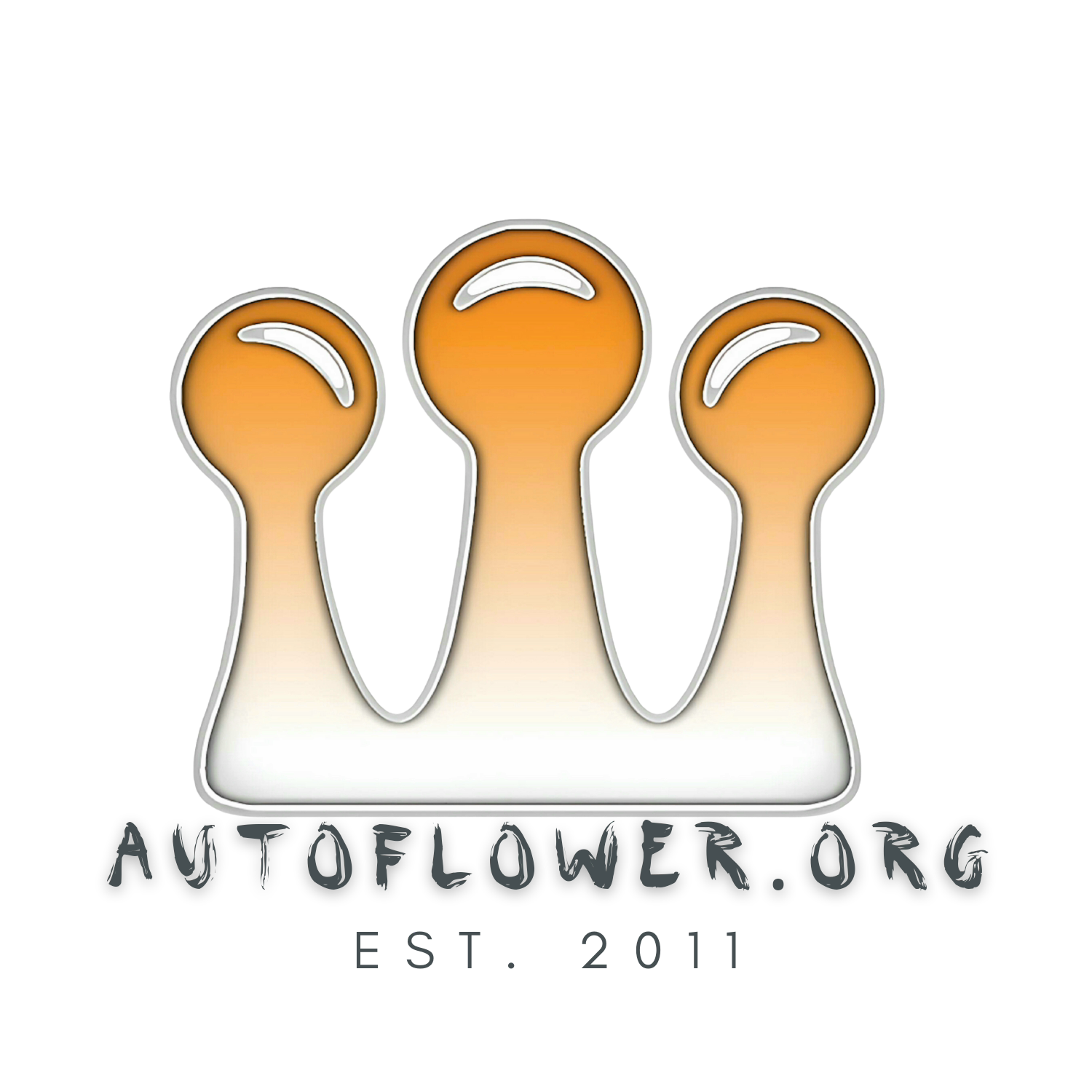 www.autoflower.org