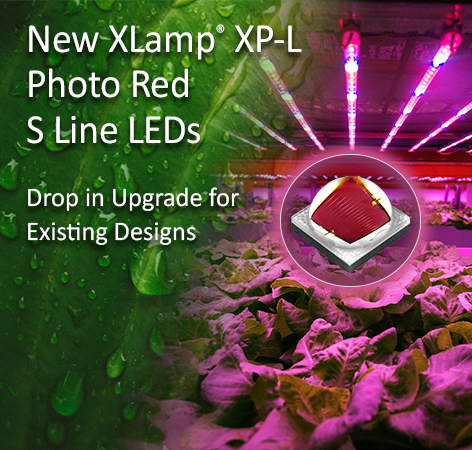 www.cree-led.com