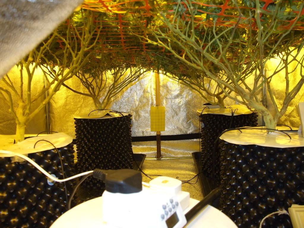 Project2012003-1.jpg