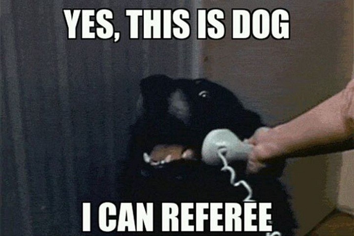 Referee.jpg