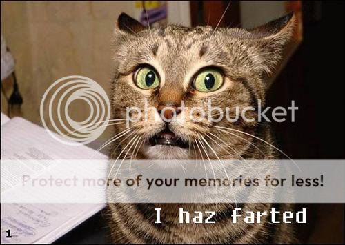 lolcat-fart.jpg