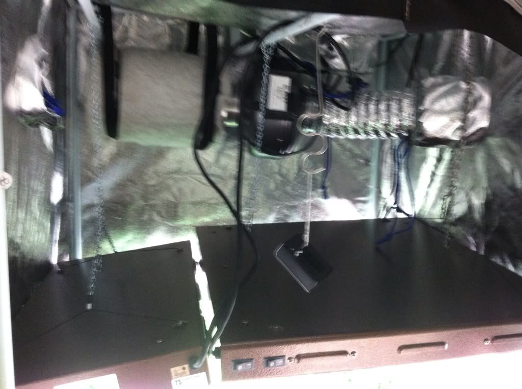 e368c264.jpg