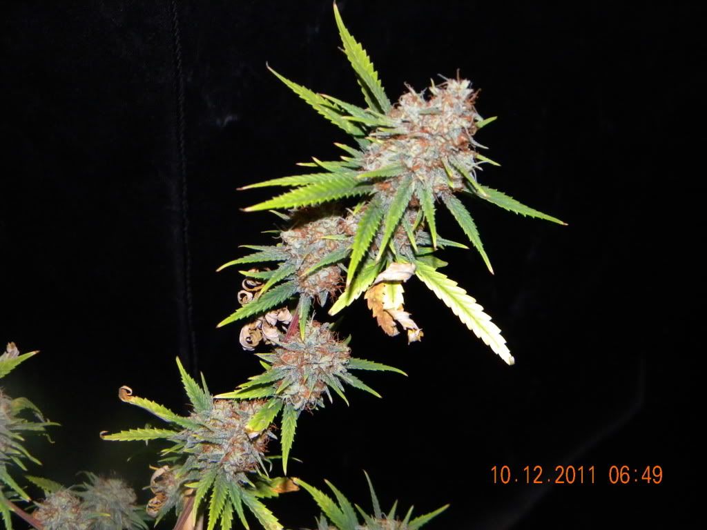 DSCN2845.jpg