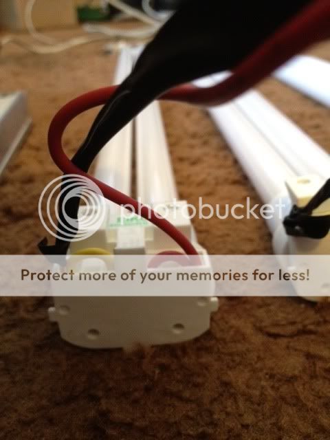 wh5closeupwireback.jpg