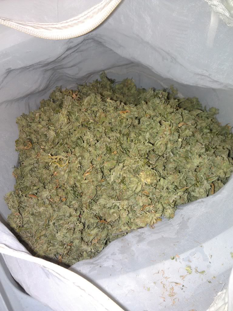 IMAG0585.jpg