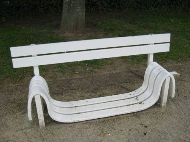 wtf_photos_12.jpg