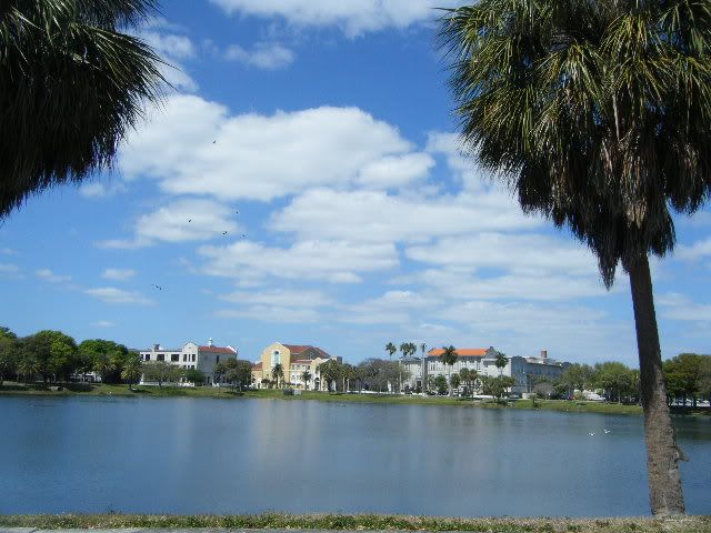 DSCF0553.jpg