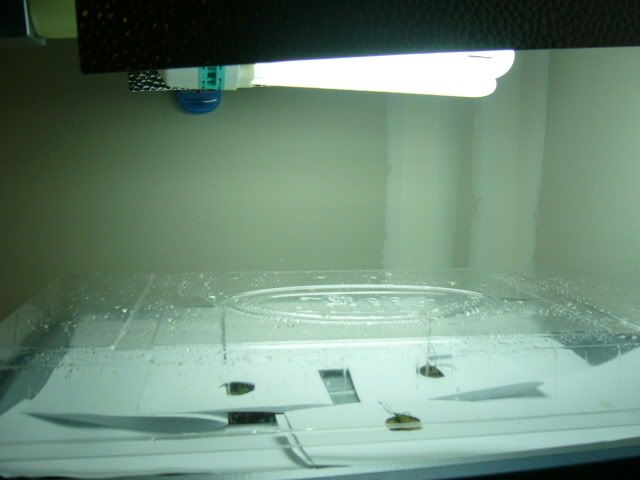 n3.jpg