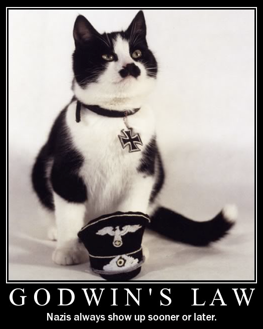 godwin-cat-4e5ea5d-intro.png