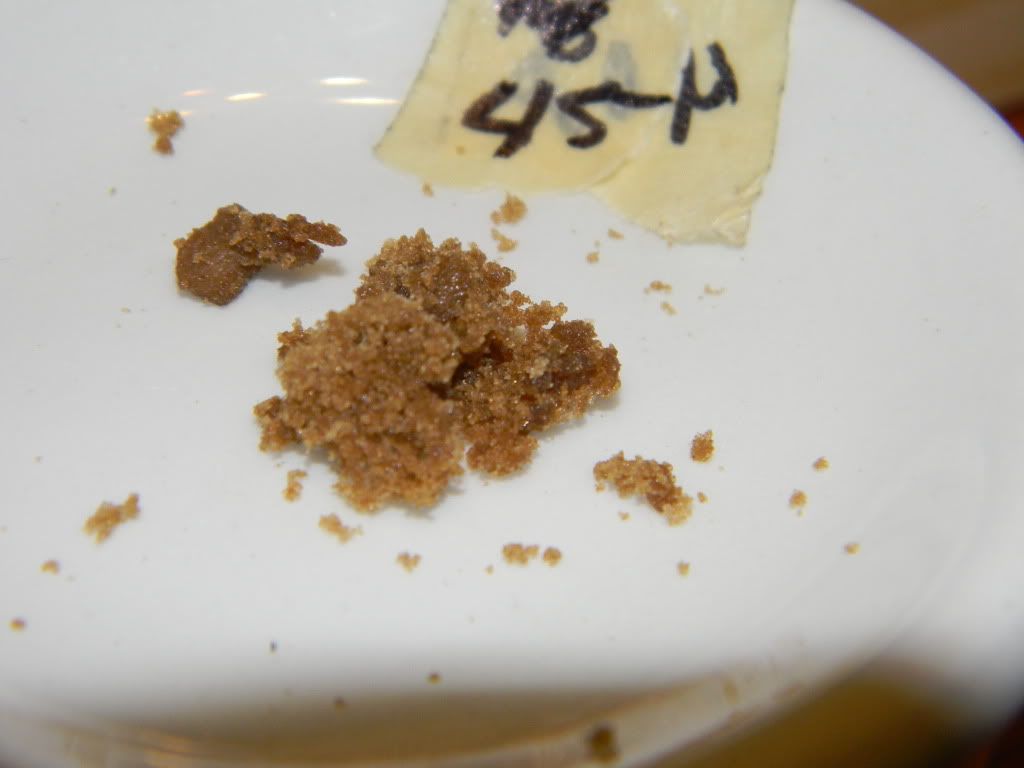 DSCN0616.jpg
