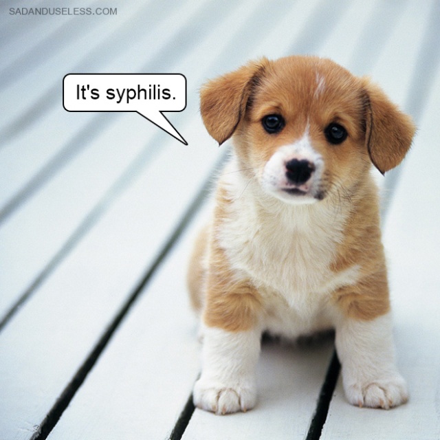 bad_news_baby_animals_06.jpg