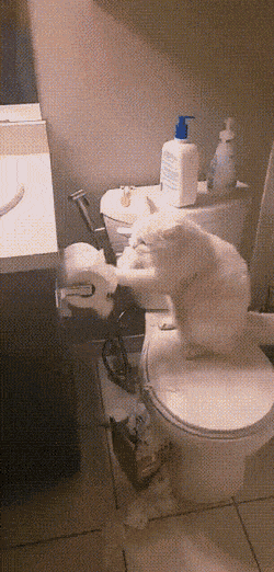gifs_14.gif