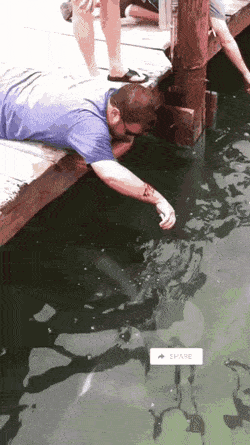 1653856904_17.gif