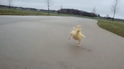 tumblr_m5tuhv65Hg1qljjc7o1_500.gif