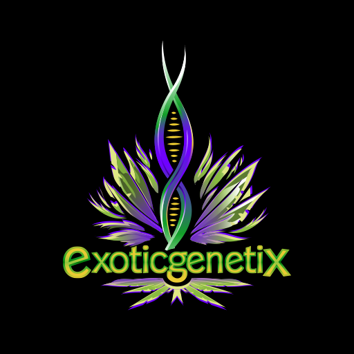 www.exoticgenetix.com