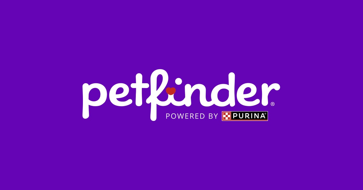 www.petfinder.com