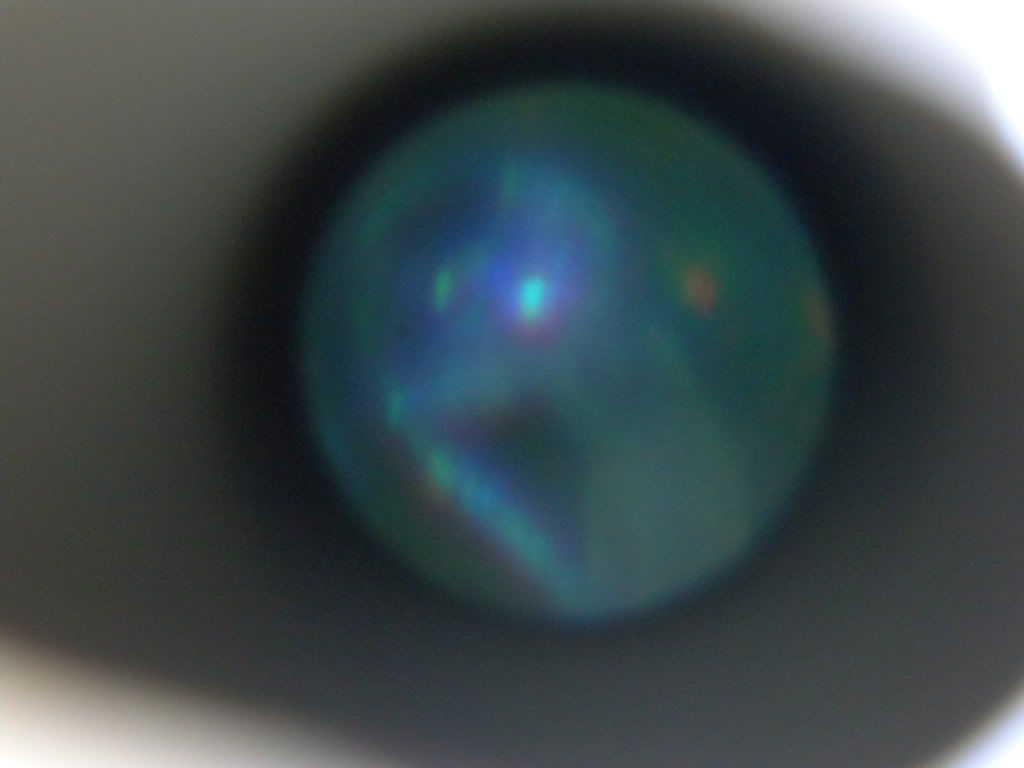DSCN0488.jpg