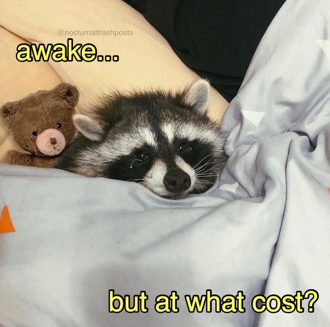 ElqZ1WpXYAUwibQ.jpg