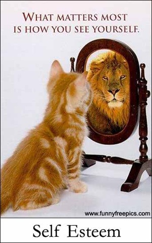 selfesteem-cat.jpg