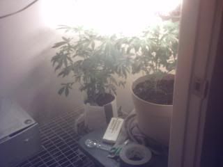 NewSetup004.jpg