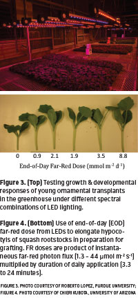 GM1015-pg62.jpg