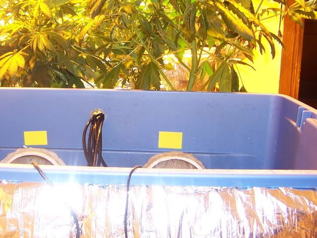 000_2705.jpg