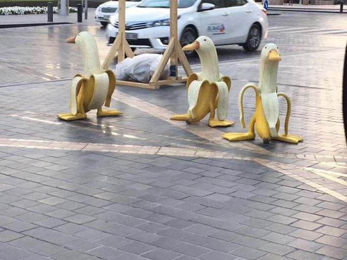 acid_picdump_48.jpg