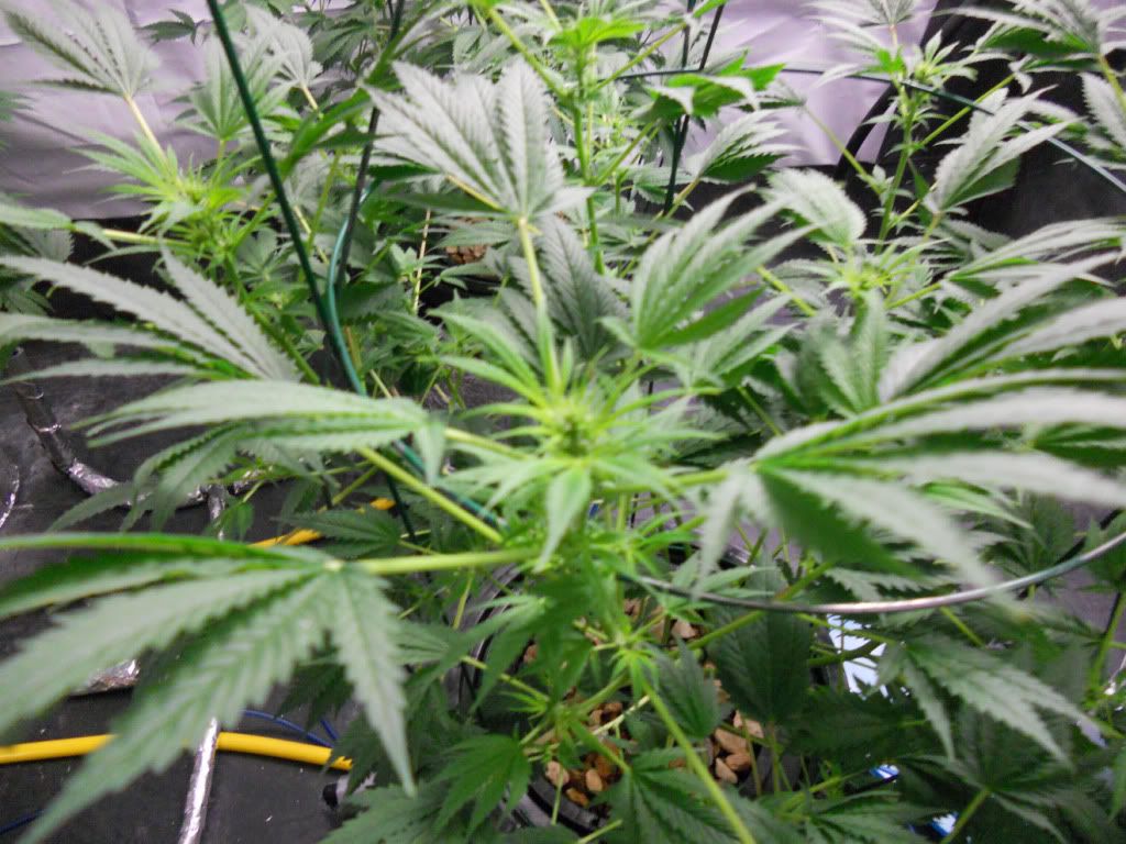 ES_Day17f_1.jpg