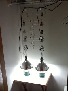20111120135711.jpg