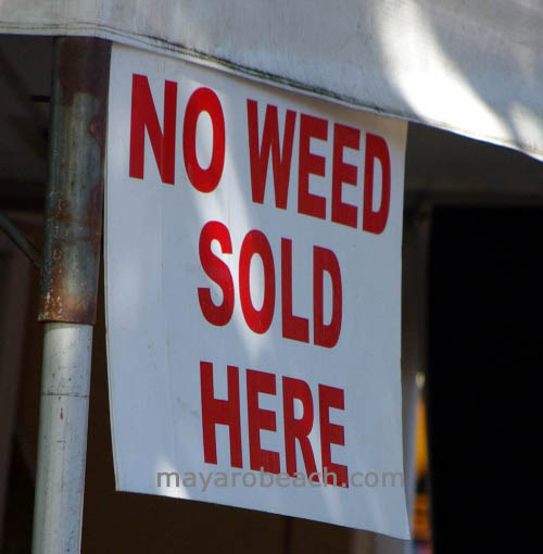 no-weed-mayarobeach-com.jpg
