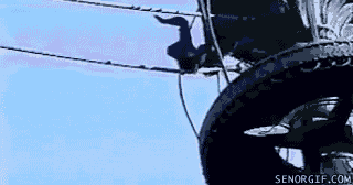 gifs_18.gif