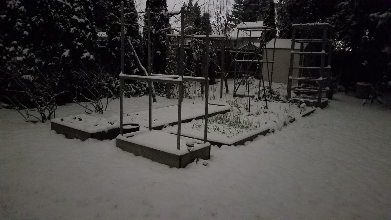 snow12282021.jpg