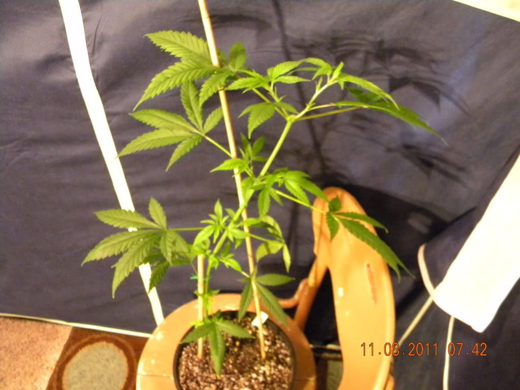 DSCN3008.jpg