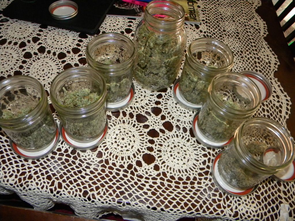 DSCN4061.jpg