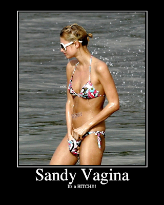 SandyVagina.png