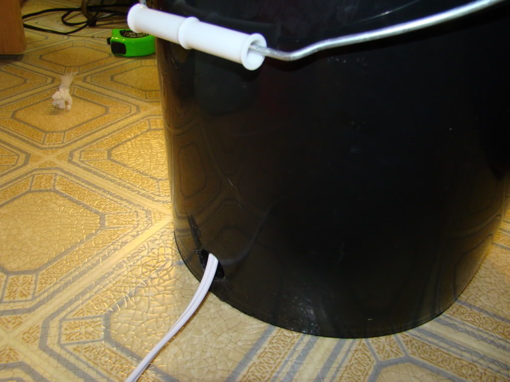 DSC01142.jpg