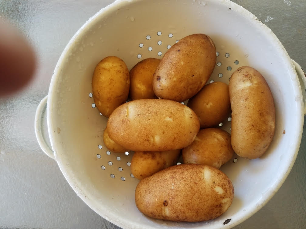 06162021potatoes.jpg