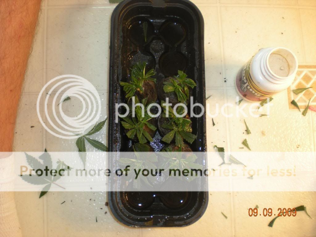 DSCN2023.jpg